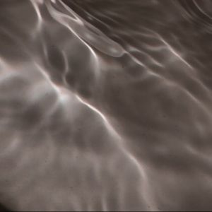 Meet your Posher, Kailey